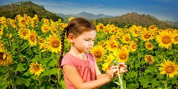 Toma-el-control-del-Polen-de-Primavera