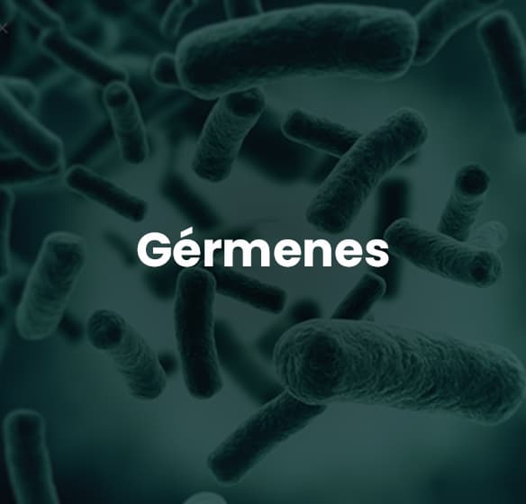Gérmenes (1)