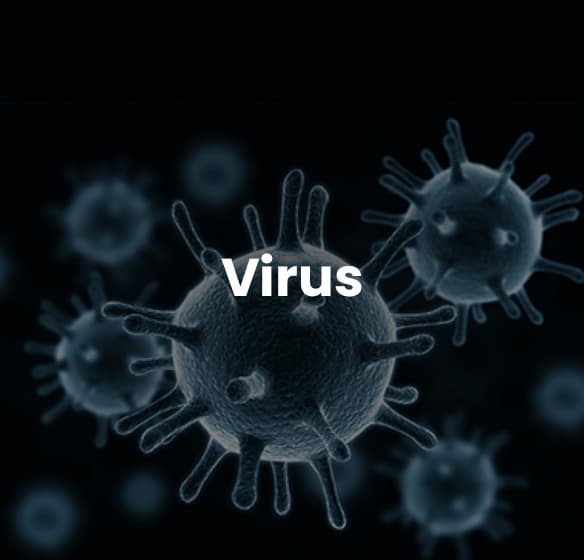 Virus (1)